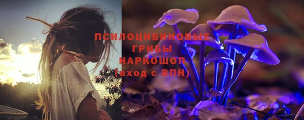 мдпв Магадан