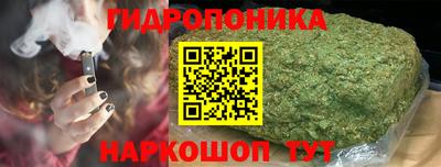 индика Берёзовский
