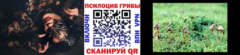 сколько стоит  Минусинск  Галлюциногенные грибы GOLDEN TEACHER 