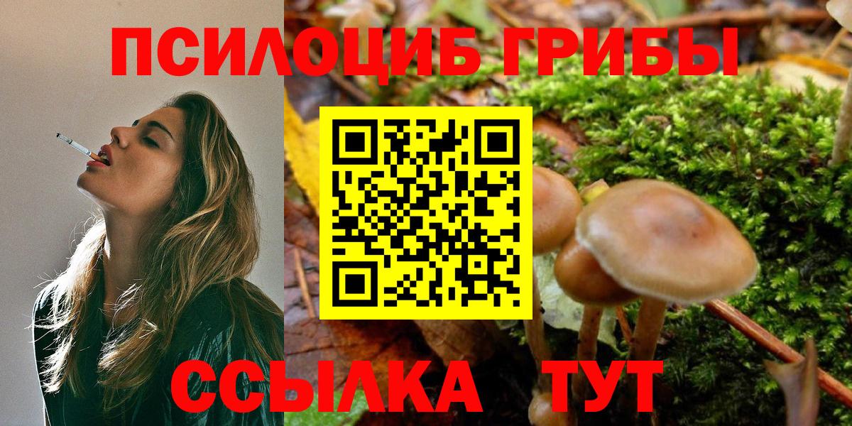 Минусинск  Галлюциногенные грибы Psilocybine cubensis  Псилоцибиновые грибы MAGIC MUSHROOMS  Вход с VPN 